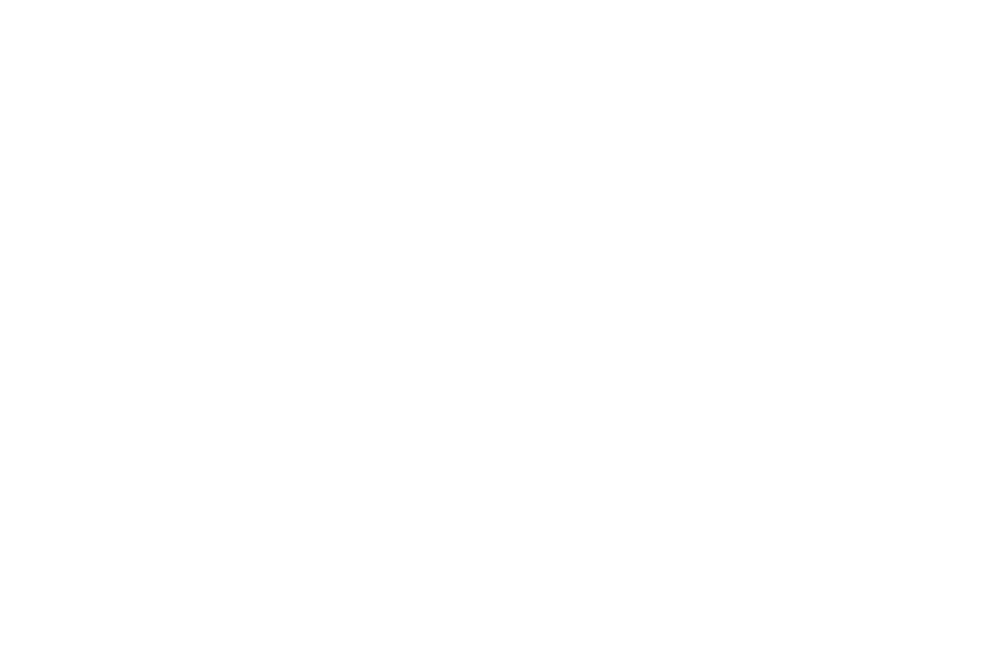 Kauffmann-Bremin